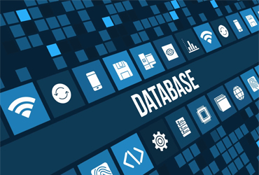 softionik-database